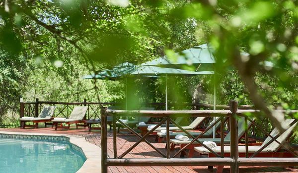 Grand Kruger Lodge & Spa Poolbereich Grand Kruger Lodge & Spa Poolbereich